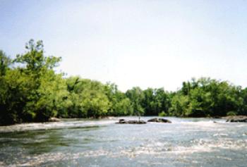 Roanoke River up river