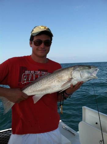 Red Drum caught on wreck